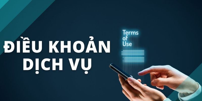 Tất cả các thông tin về điều khoản dịch vụ được cập nhật rõ ràng trên trang chính.